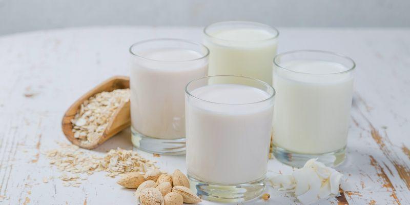Complete Guide to the Common Alternatives to Regular Milk Today